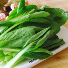 09. Капуста китайская 油菜